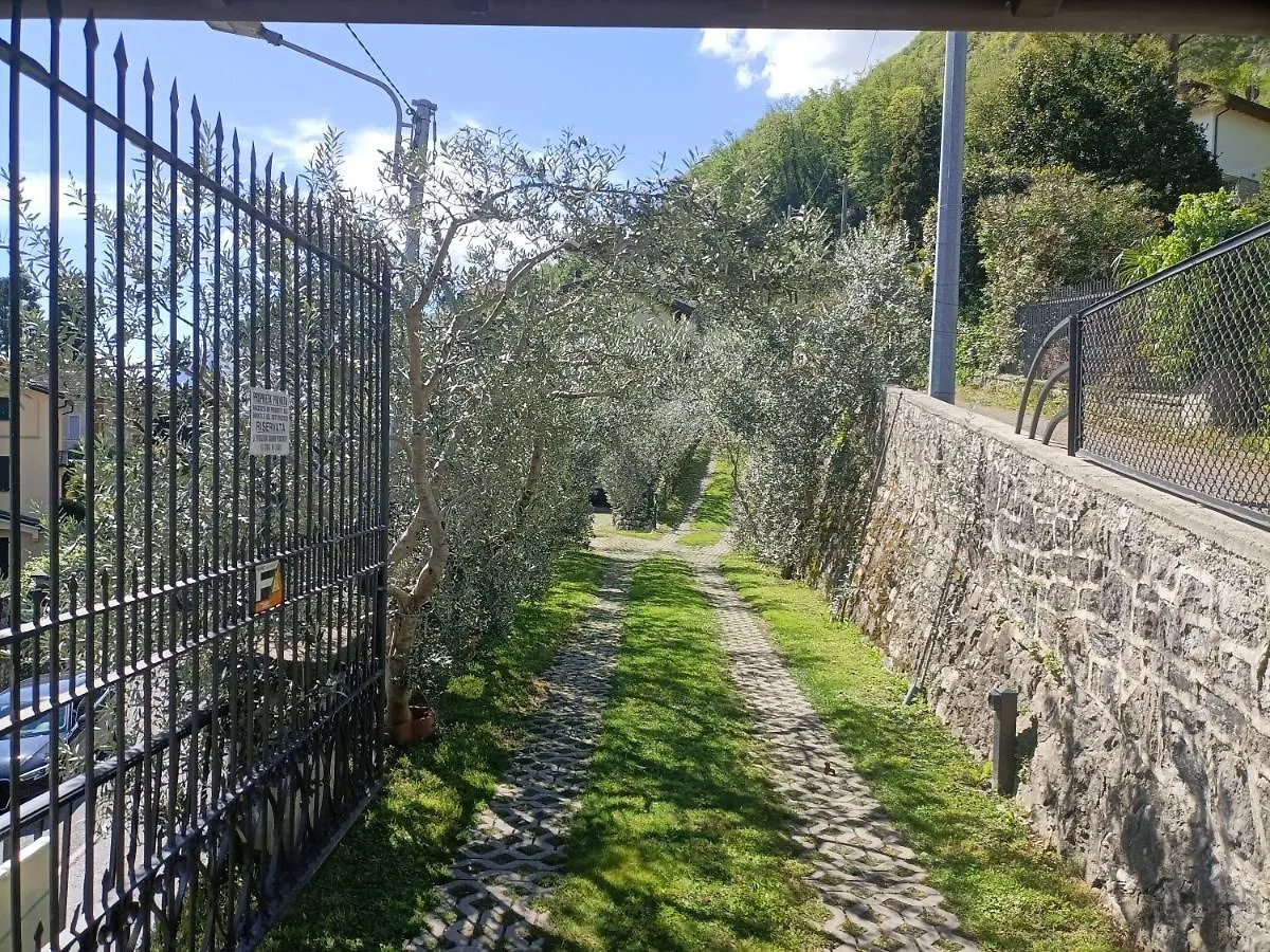 Ferienwohnung Casa Delle Olive 1 Oliveto Lario 0*,  Italien